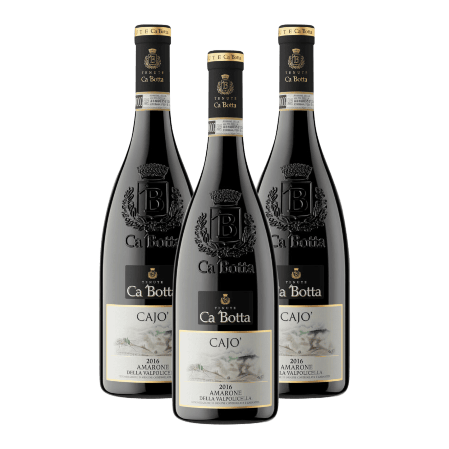 Ca Botta Cajo Amarone della Valpolicella DOCG 2017