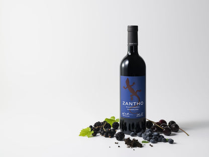 Blaufränkisch /Блауфренкиш 2022 - ZANTHO