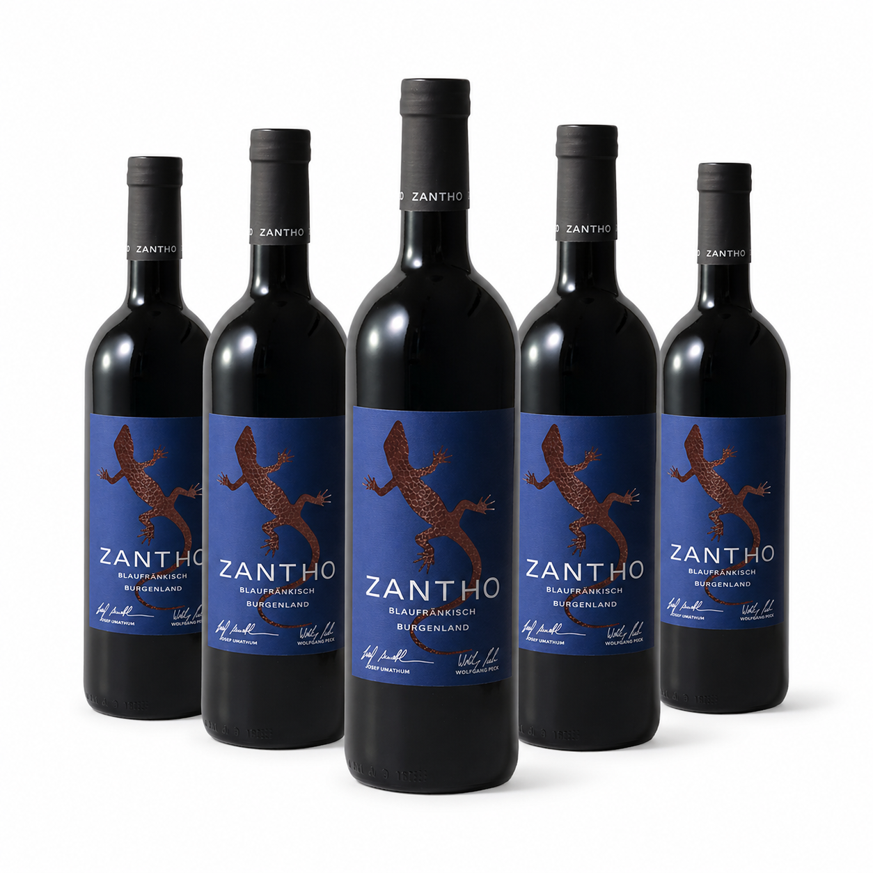 Blaufränkisch /Блауфренкиш 2022 - ZANTHO