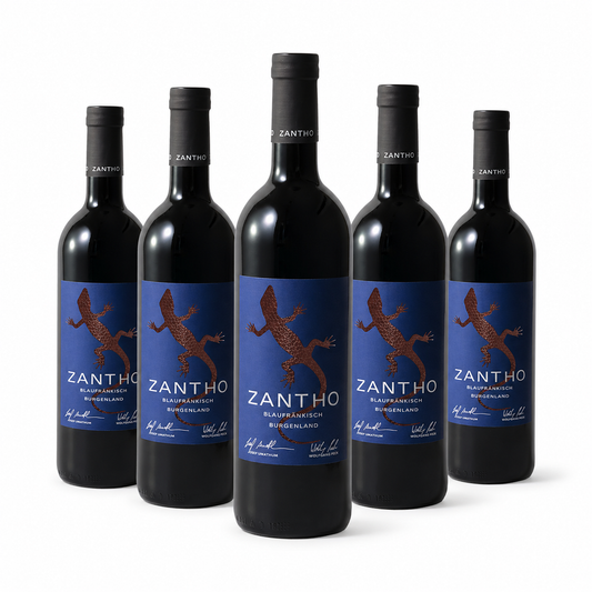 Blaufränkisch /Блауфренкиш 2022 - ZANTHO