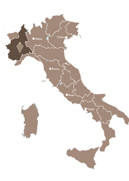Langhe Arneis DOC 2024